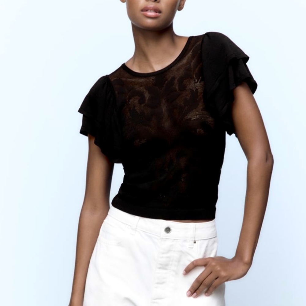 ZARA RUFFLED SLEEVE POINTELLE KNIT TOP